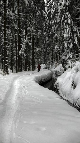 dammgraben_004.jpg