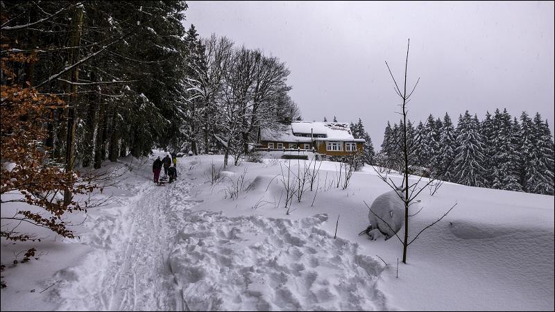 dammgraben_012.jpg